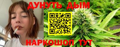 сатива Бузулук