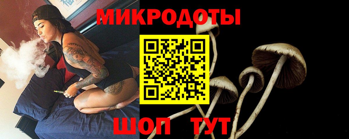 Псилоцибиновые грибы Psilocybe Лосино-Петровский